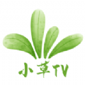 小草TV软件