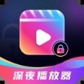 深夜爱看播放器app